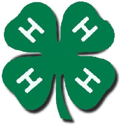 clover.jpg (3707 bytes)